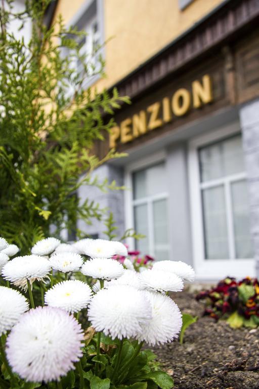 Penzion 43 Bor Екстер'єр фото